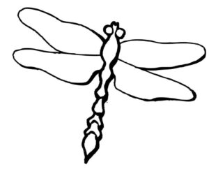 Dragonfly with long tail and spread wings coloring page