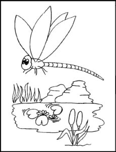 Dragonfly & rock: a tranquil moment coloring page