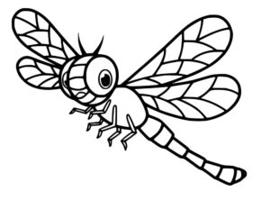 Dragonfly’s single eye: a moment of focus coloring page