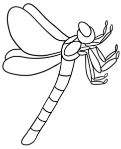 Dragonfly wings spread wide: stunning photo coloring page