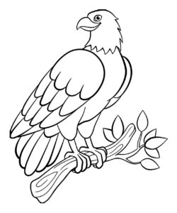 Eagle gazes intently, tail trails coloring page