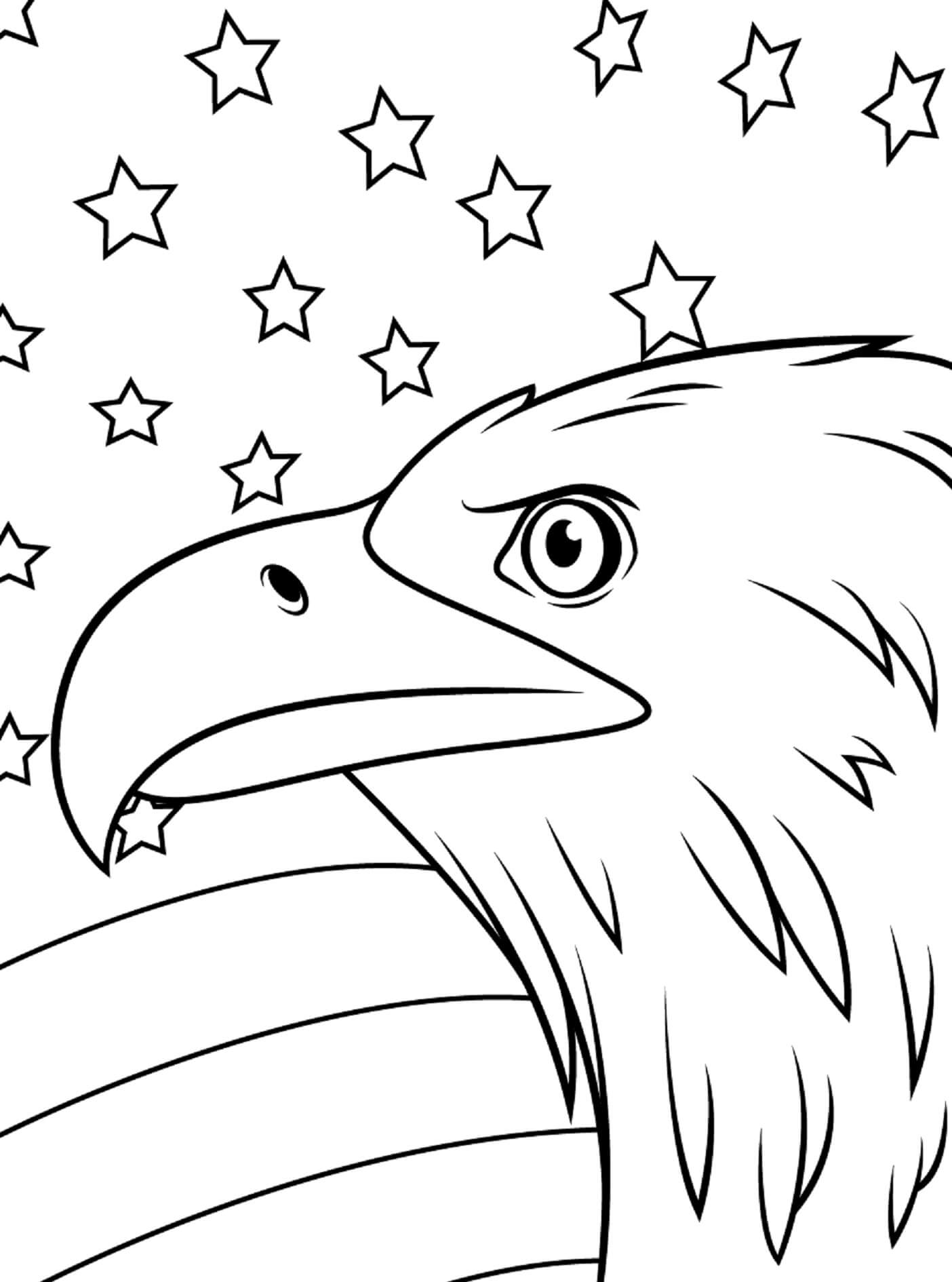 Eagle gazes at starry horizon