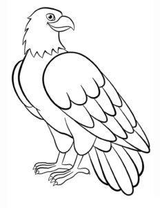 Eagle posing: sunlight on feathers coloring page