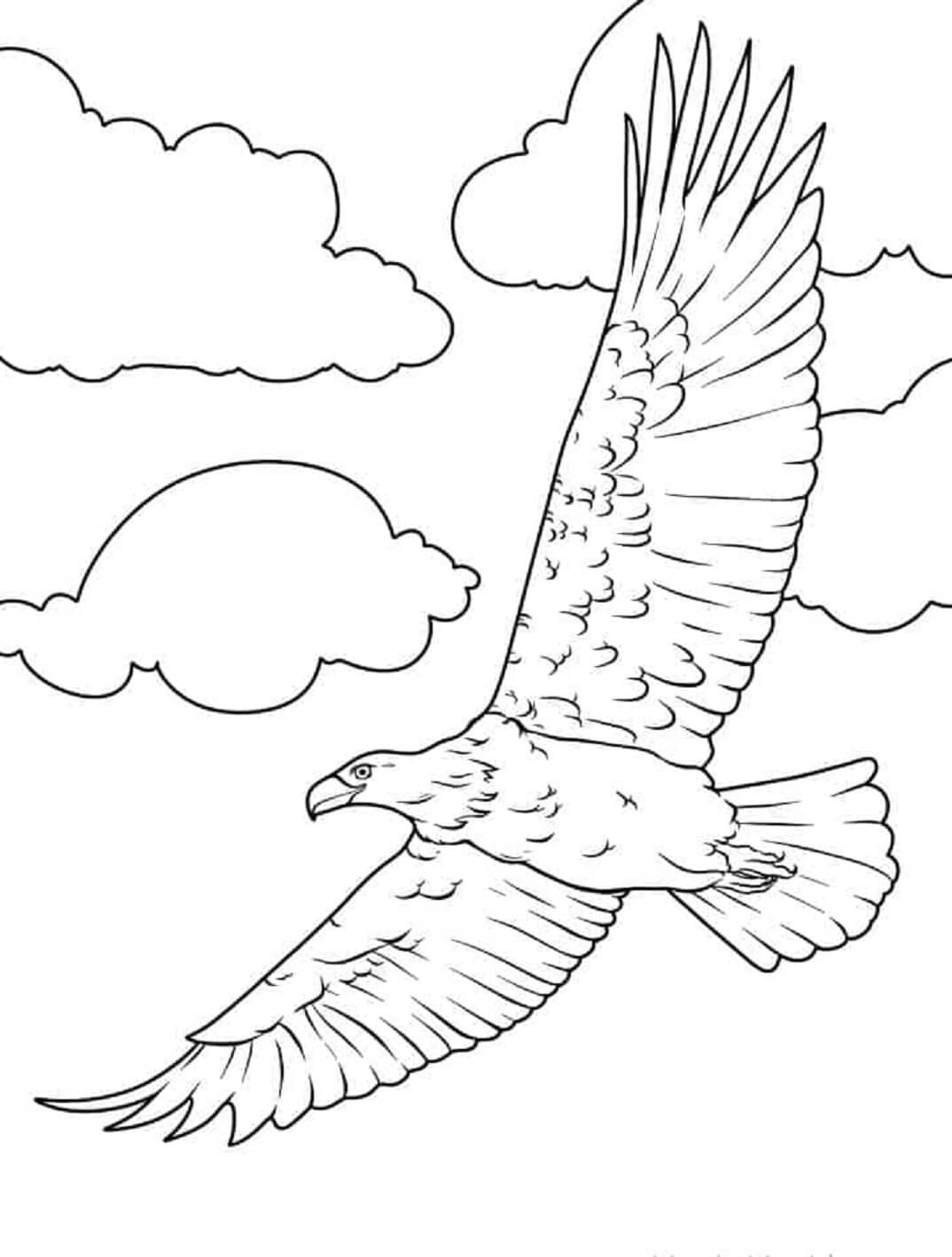 Eagle soaring through swirling clouds