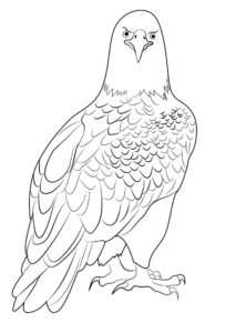 Eagle soaring: majestic horizon view coloring page