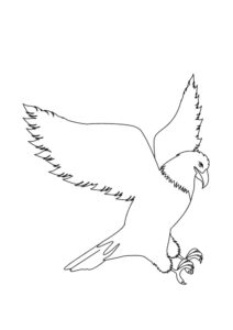 Eagle soaring: a silhouette against the sky coloring page