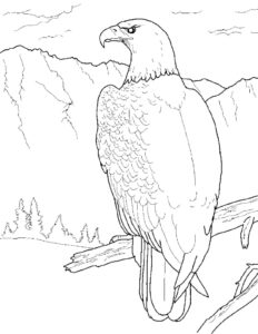 Eagle watches over mountain coloring page coloring page