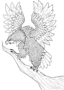 Eagle’s eye view: a moment of serenity coloring page