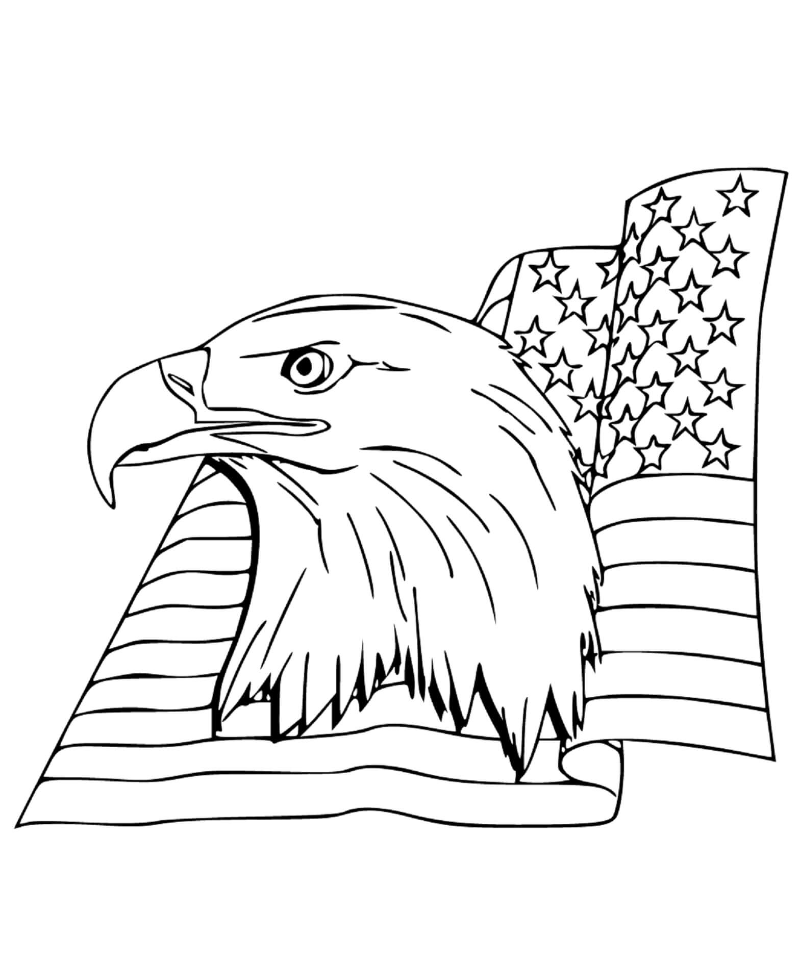 Eagle’s gaze: american pride soars