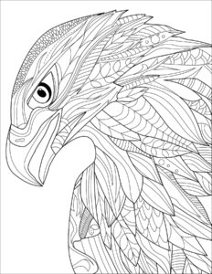 Eagle’s silent cry: vibrant plumage, open beak coloring page