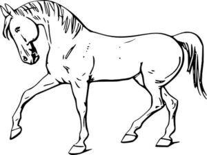 Elegant horse stride: graceful movement coloring page