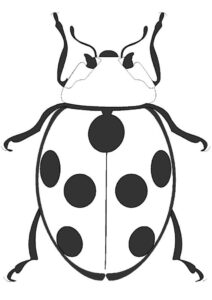 An elegant ladybug coloring page