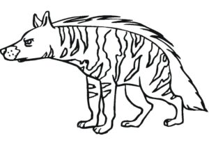 Fierce hyena posing in the wild coloring page