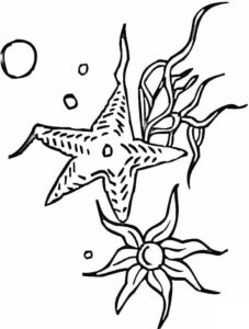 Five-pointed starfish in bubble bath coloring page