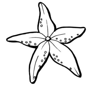 A flowerlike starfish coloring page