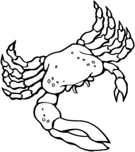 Flying crab: a blur of white and black coloring page