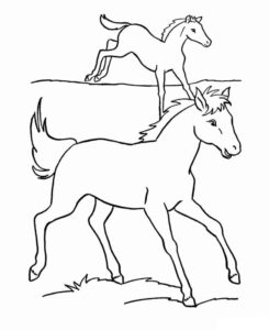 Foal follows galloping horse in field coloring page