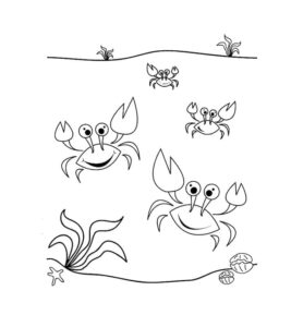 Four crabs, silent drama, hidden mystery coloring page