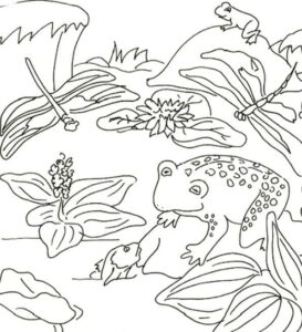 Frog rides turtle through flowery meadow coloring page