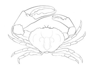 Giant crab dominates page: a visual feast coloring page