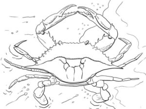 Giant crab: menacing silhouette in the deep coloring page