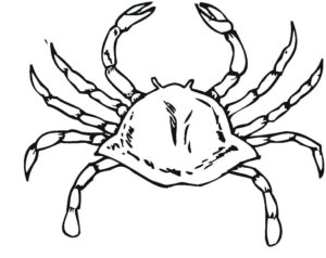 Giant crab spreads its claws coloring page