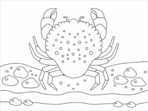 Giant crab spreads its legs coloring page