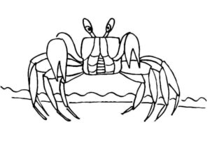 Giant crab stretches long legs in sand coloring page