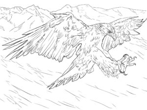 Giant eagle soars over jagged peaks coloring page