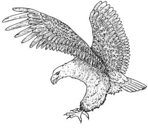 Giant eagle soars through sky coloring page