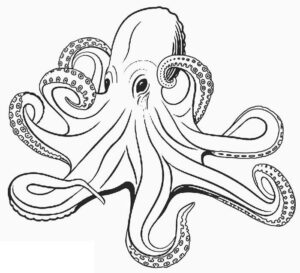 Giant octopus: long arms fill picture coloring page