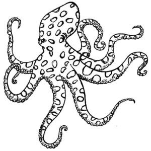 Giant octopus: many arms, epic picture coloring page