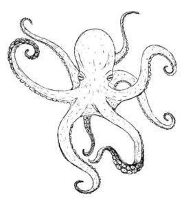 Giant white octopus with bumpy arms coloring page