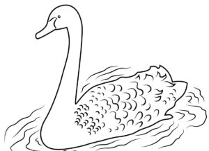 Graceful swan: ripples on tranquil water coloring page