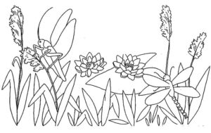 Grasshopper and flowers in a field coloring page