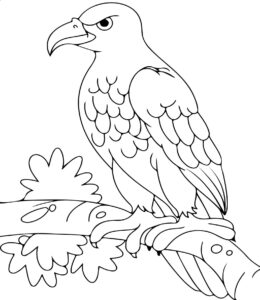 Gray eagle watches from branch coloring page