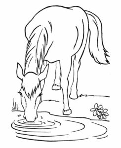 Horse drinks deeply, ripples spread coloring page