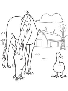 Horse munches & duck patiently waiting coloring page