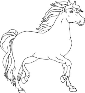 Horse power: strength & beauty in motion coloring page