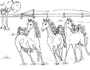 Horses race for victory on farm coloring page