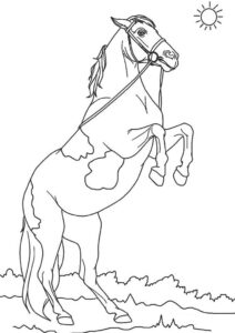 Horse rearing up: power & grace coloring page