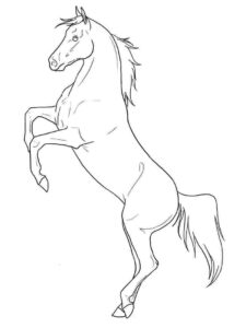 Horse rearing up: power & grace coloring page