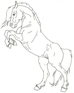 Horse rears: majestic power & grace coloring page