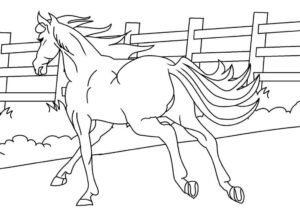 Horse training: fast action, race prep coloring page