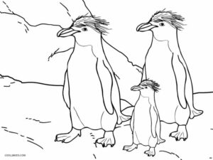 Huddling penguins: size matters coloring page