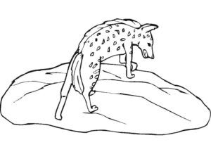 Hyena hunts on rocky terrain coloring page