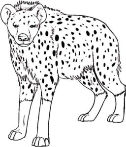 Hyena’s majestic dark fur coloring page