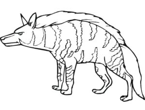 Hyena: majestic predator of the wild coloring page