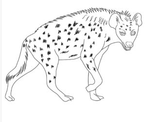 Hyenas: hair on end, mouth agap coloring page