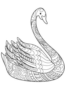 Intricate swan pattern captures gaze coloring page